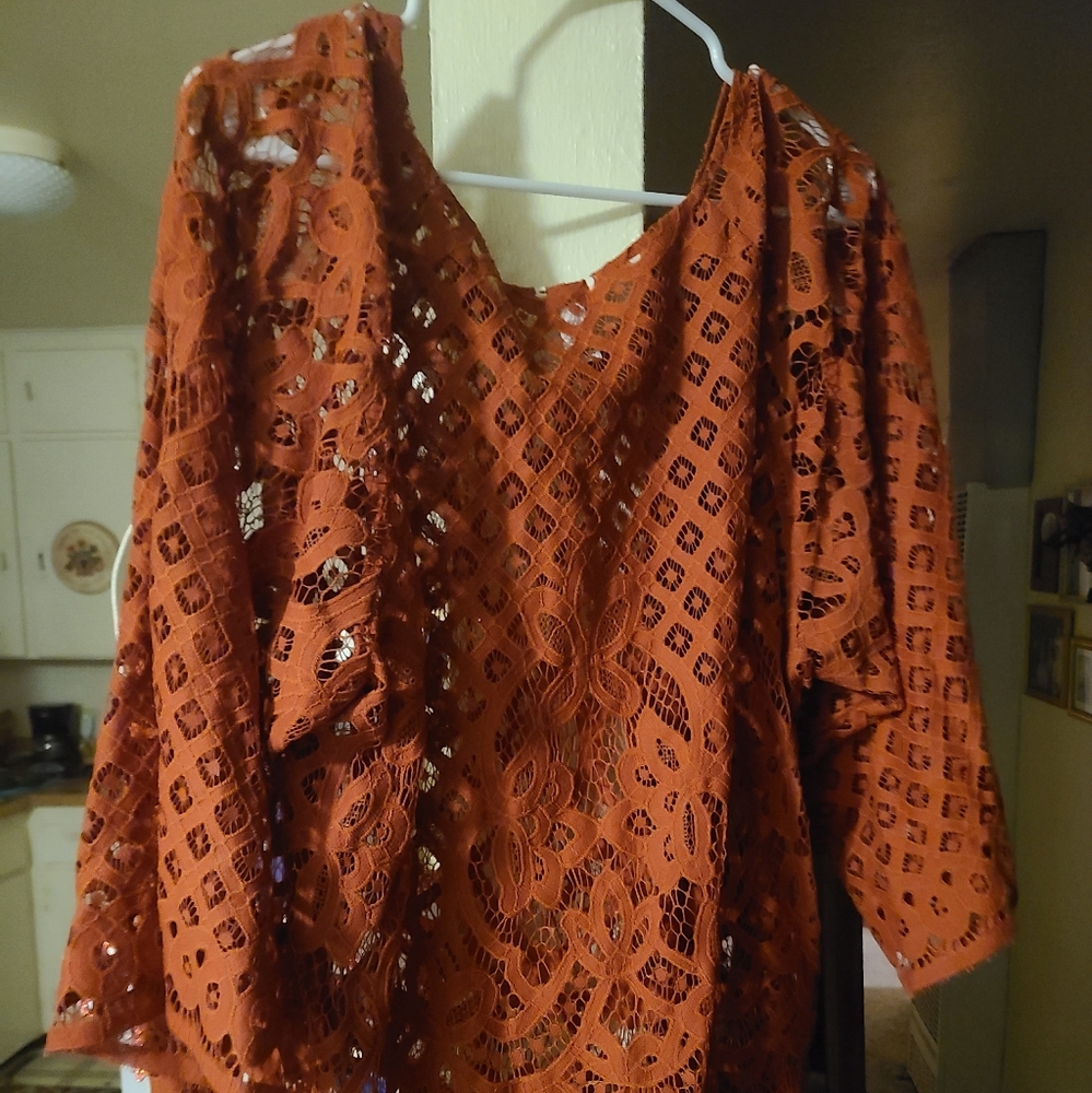 Est 1946 rust lace blouse sz 18/20